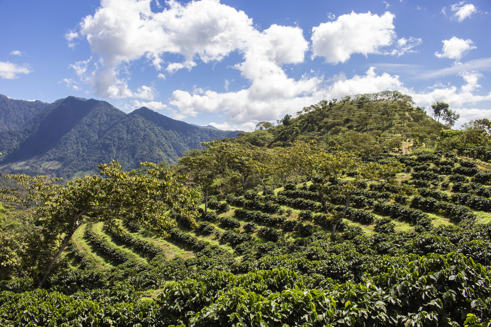 Wijd, wijder, wijds! Heerlijk uitzicht over Finca Santo Tomas Pachuj in San Lucas Tolimán – Guatemala